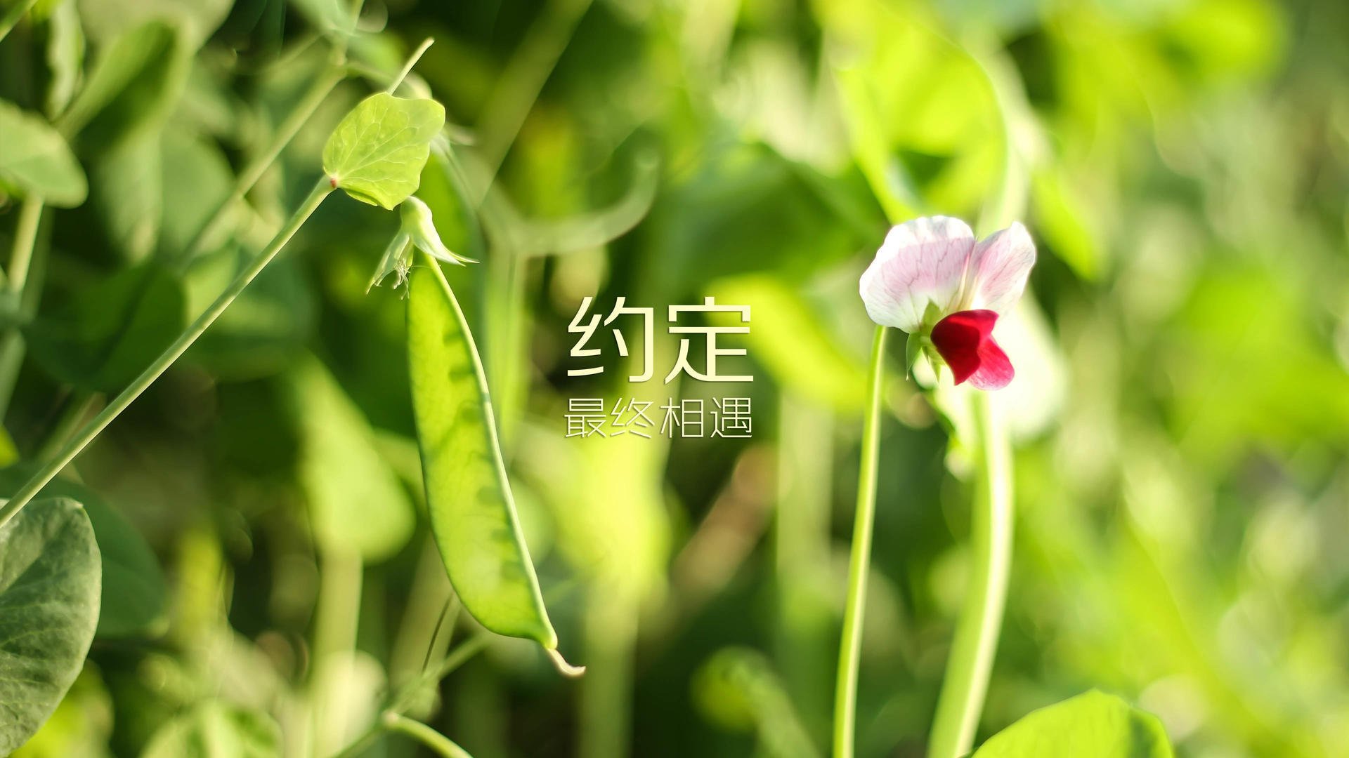 马德里竞技队客场战胜巴塞罗那队，赢得德比战，马德里竞技vs巴萨罗那