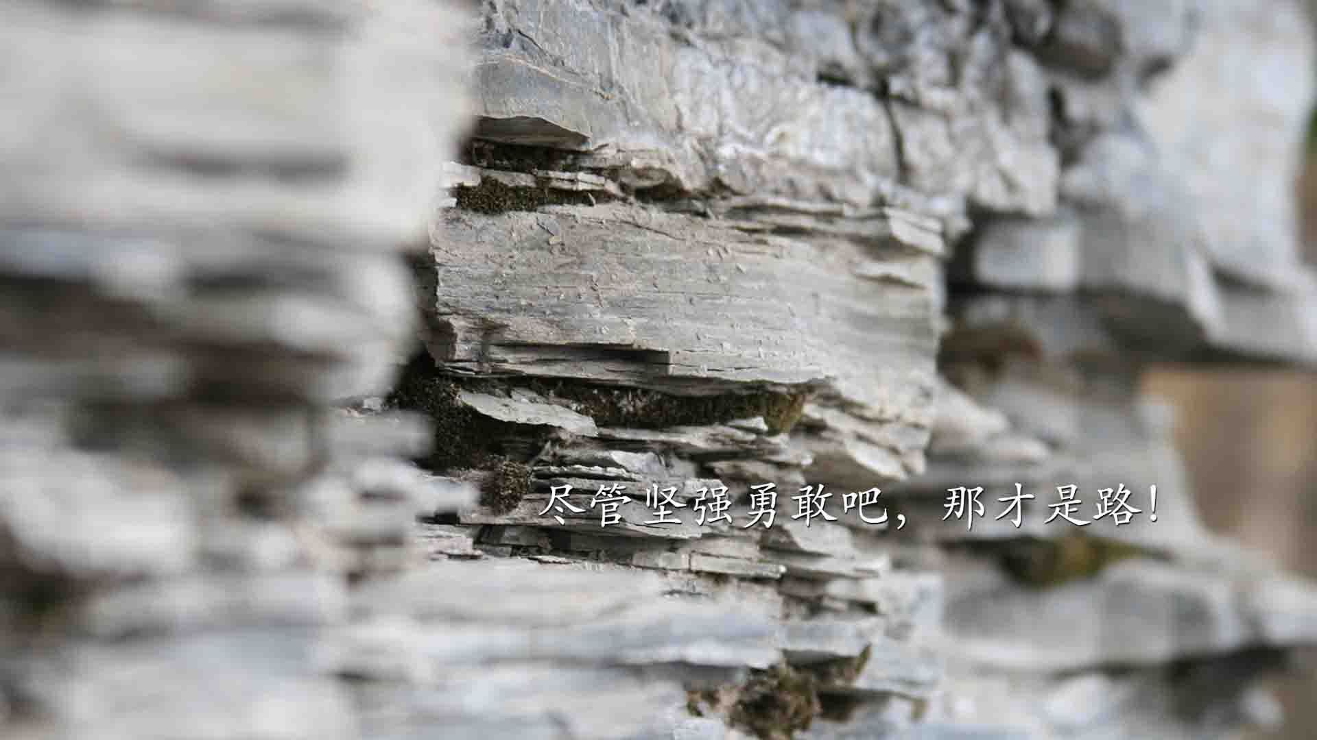 “费尔南多·比亚尔巴的技术提升，成就阿根廷橄榄球的新高度”