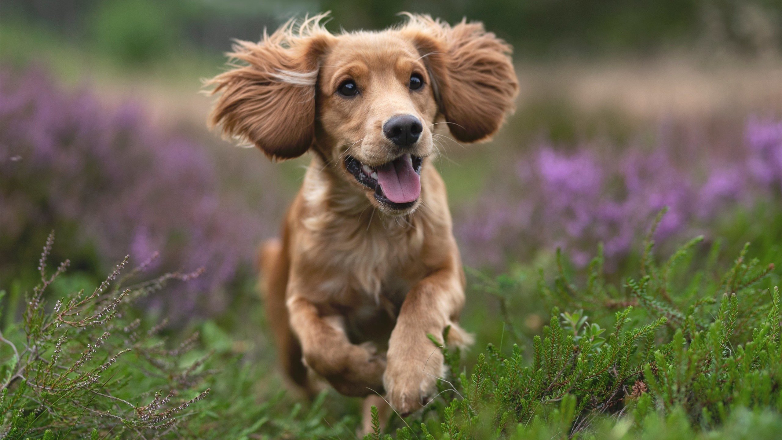 中甲球队采用无人机记录训练提升复盘角度多样性，2020无人机国家队选拔赛