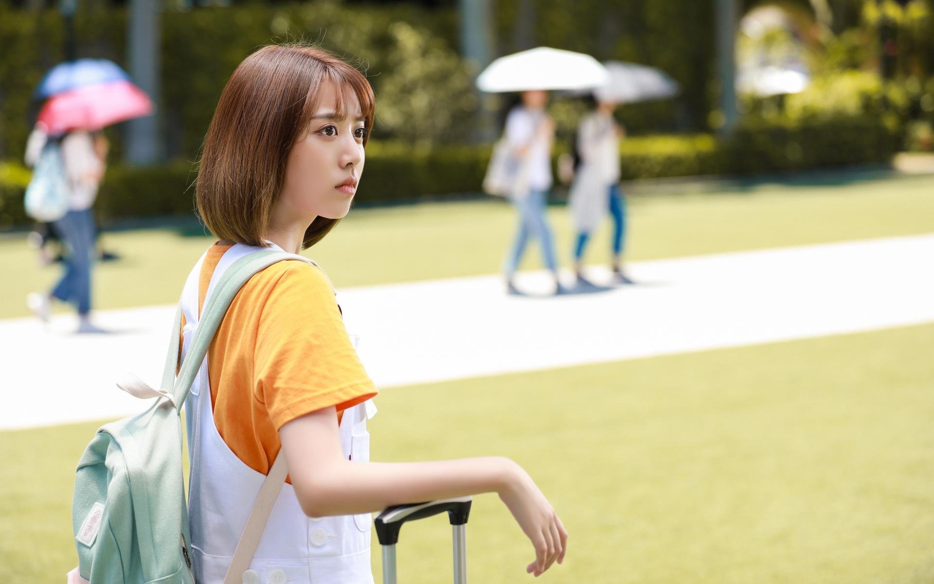 南半球强队对决,橄榄球冠军锦标赛燃情开战,橄榄球南非