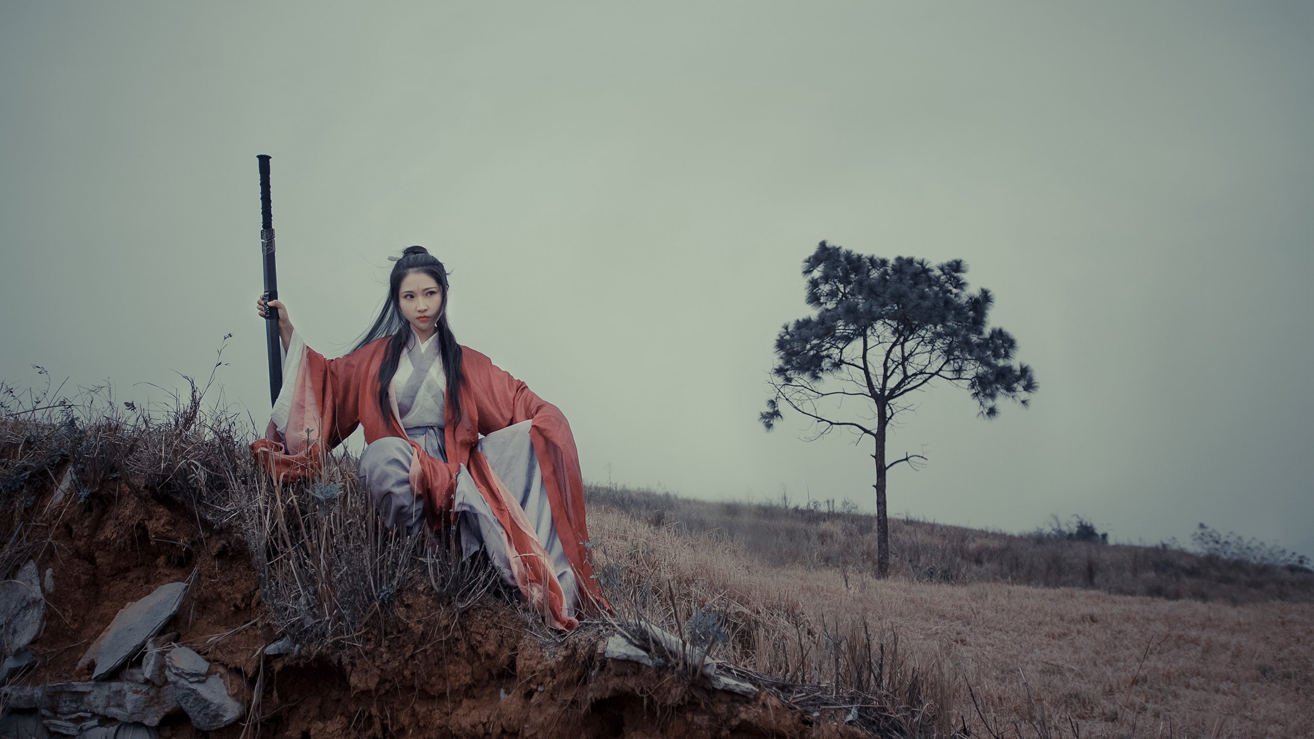 南非羚羊队：每一次反击都令人惊叹，速度与力量的完美结合，非洲羚羊种类大全