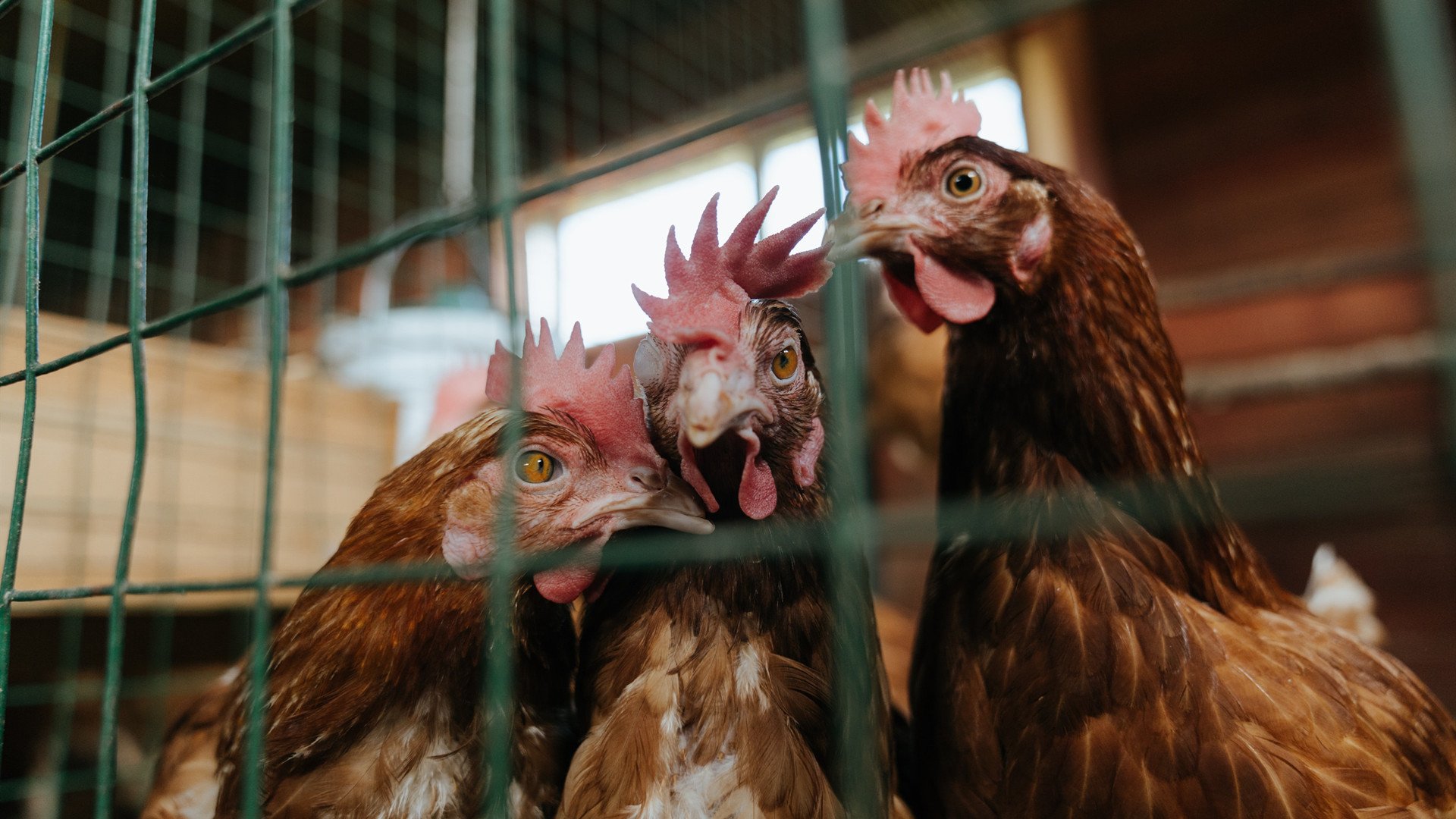 AYX SPORTS-技术动作数据与比赛成绩相关性分析，技术动作的定义