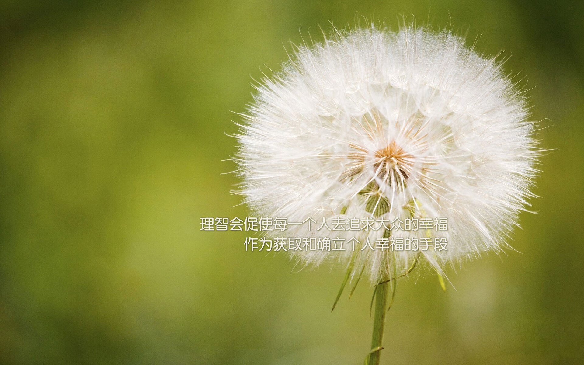 爱游戏体育-米兰双雄奋力争冠，意甲局势激烈