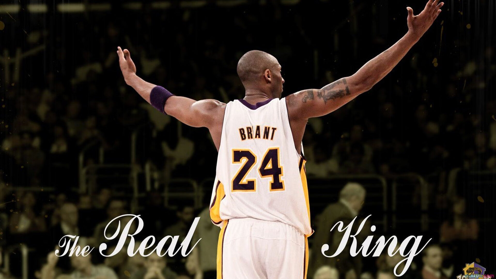 _极限登顶:勇者挑战世界最高峰_,极限勇士挑战